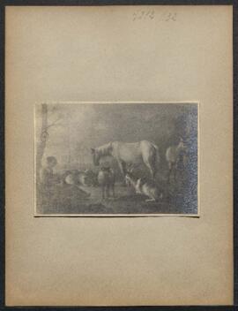 Dossier concernant une Bergère et son troupeau, tableau de Paulus Potter, offert en vente par Mr Stanislaw Krzyzanowski (Russie, Kijow). — Offre refusée.