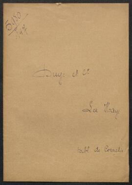 Dossier concernant un Portrait de Albert Cornelis et un Saint Jean l’Evangéliste de Colyn de Cote...