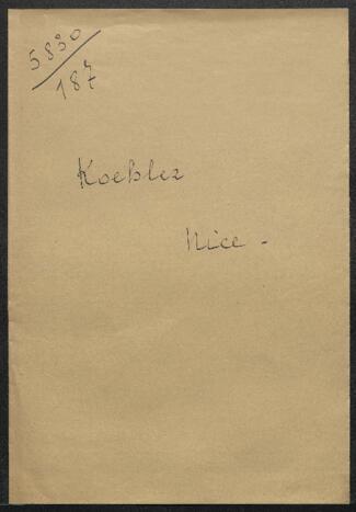 Open original Document numérique